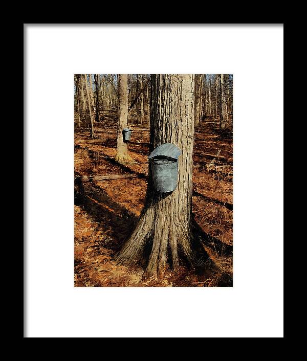 Forest Framed Print featuring the digital art The Sugar Bucket by Garth Glazier
