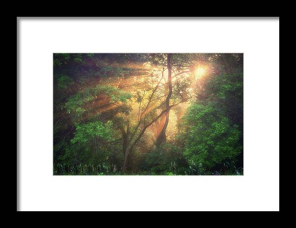 Sunrise Framed Print featuring the photograph The Sun Rays by Henry w Liu