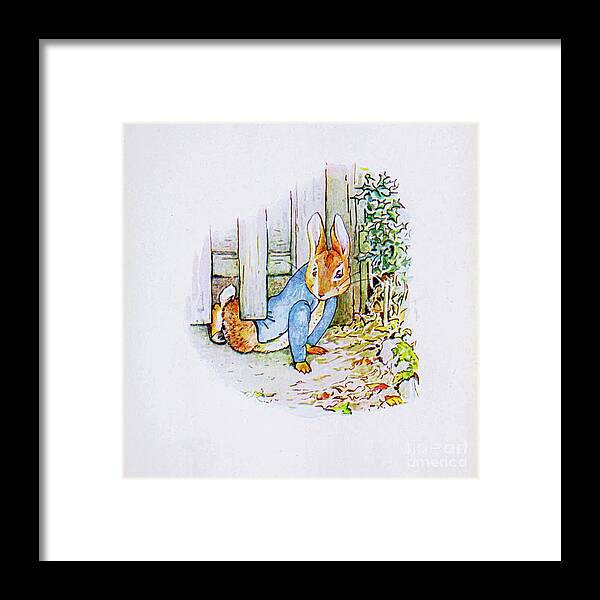  Framed Print featuring the painting The Tale of Peter Rabbit ab15 by Historic Illustrations