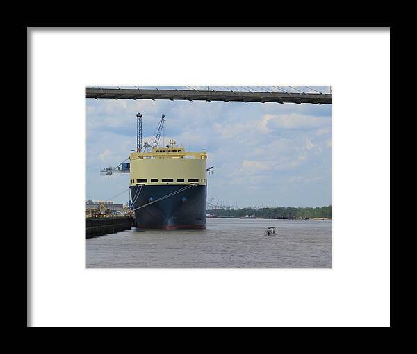 Savannah River Framed Print featuring the photograph The Tall And Short Of It by Ed Williams