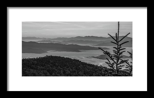 Clingmans Dome Framed Print featuring the photograph The Top of the Mountain at Dawn, Black and White by Marcy Wielfaert