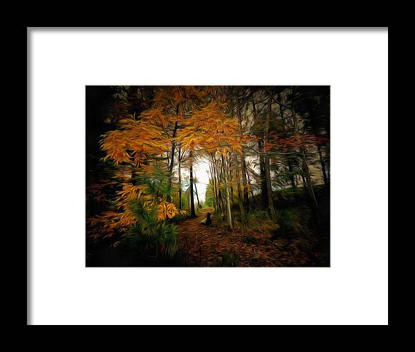 Trail Framed Print featuring the mixed media The Trail in Autumn by Christopher Reed
