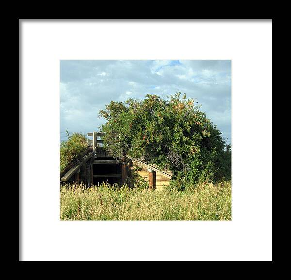 Tunnel Framed Print featuring the photograph The Tunnel and the Wild Plum Thicket by Katie Keenan