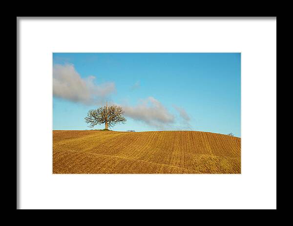 Fields Framed Print featuring the photograph The Unicorn Tree by Regina Muscarella