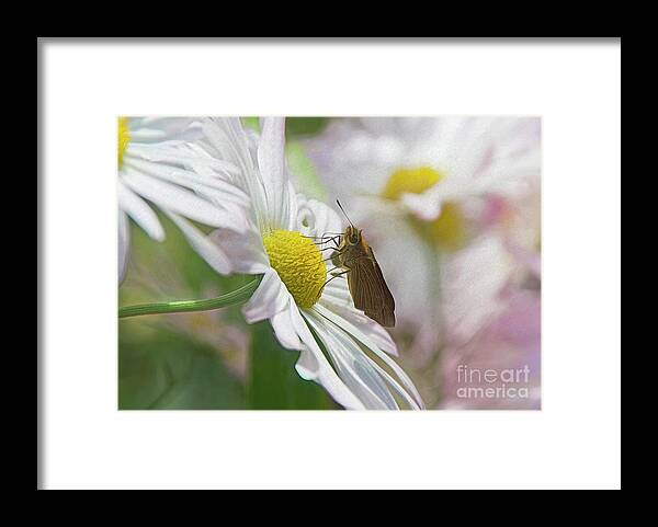 Butterfly Framed Print featuring the photograph The Visitor by Kathy Baccari