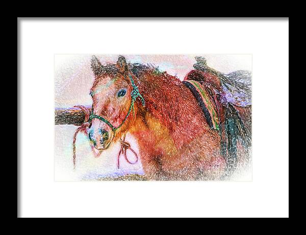 Horses Framed Print featuring the photograph The Waiting Game by DB Hayes
