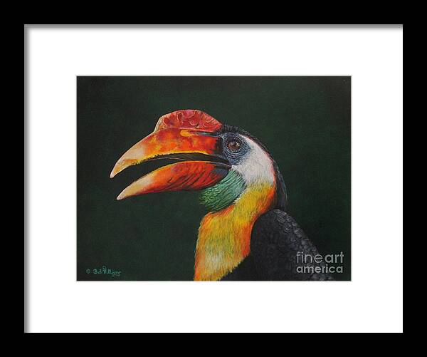 Horn Bill Framed Print featuring the painting The Wrinkled Hornbill by Bob Williams