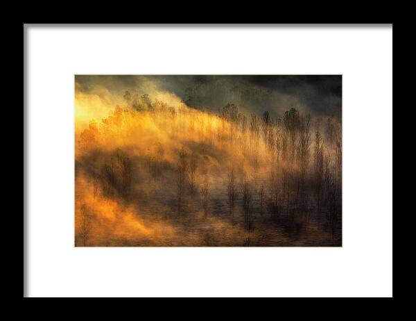 Bulgaria Framed Print featuring the photograph Thin Forest by Evgeni Dinev