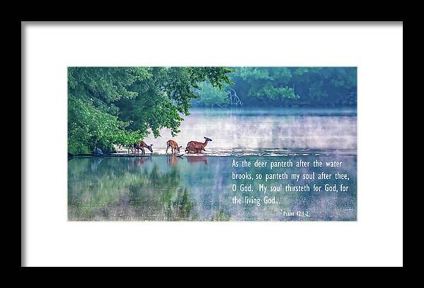 Deer Framed Print featuring the photograph Thirsty for More Than Water by Marcy Wielfaert