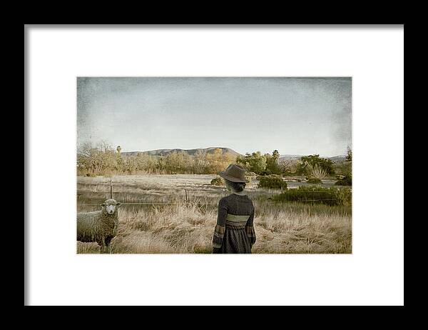 Sheep Framed Print featuring the photograph This Beautiful Life by Alison Frank