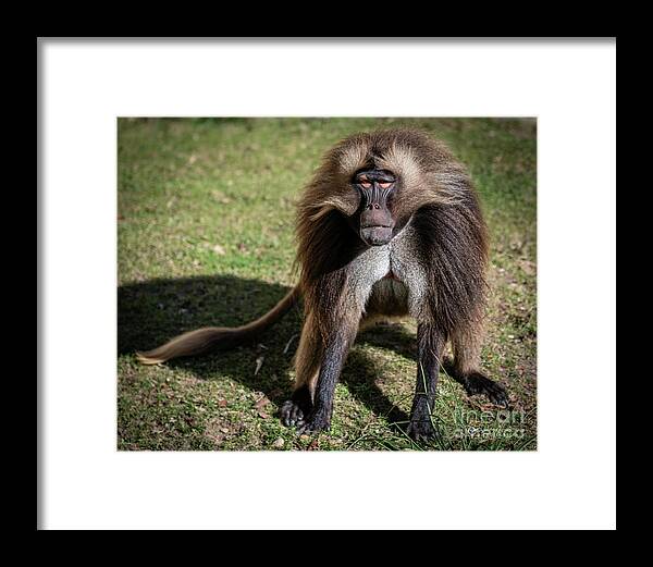 David Levin Photography Framed Print featuring the photograph This is How I Look When I'm Happy by David Levin