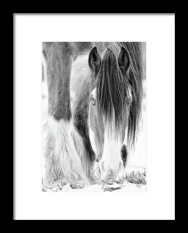 Horse Framed Print featuring the photograph Those Eyes - vertical crop by Everet Regal