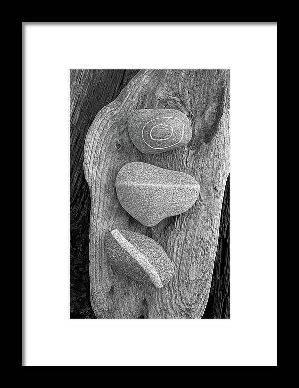 Stones Framed Print featuring the photograph Three Amigos Over Driftwood Black and White by Kathi Mirto