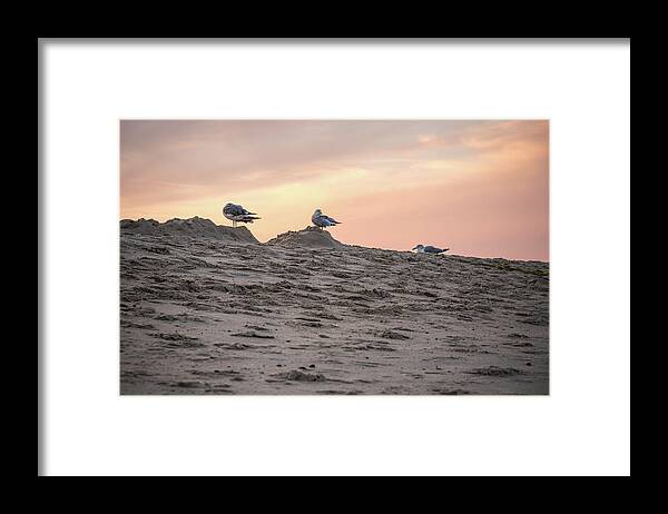 Ocean Grove Framed Print featuring the photograph Three Birds by Kristopher Schoenleber