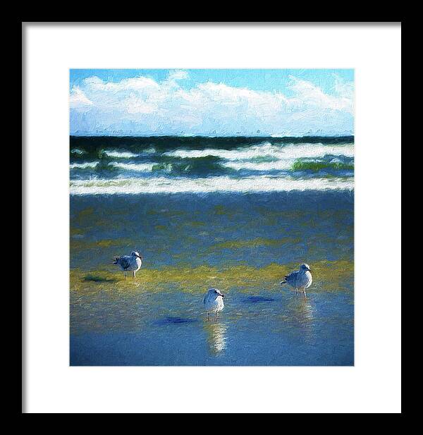 Beach Framed Print featuring the photograph Three Birds on Outer Banks Beach ap by Dan Carmichael