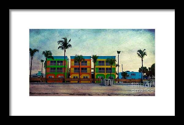 Fort Myers Beach Framed Print featuring the photograph Three Colorful Beauties by Claudia Zahnd-Prezioso
