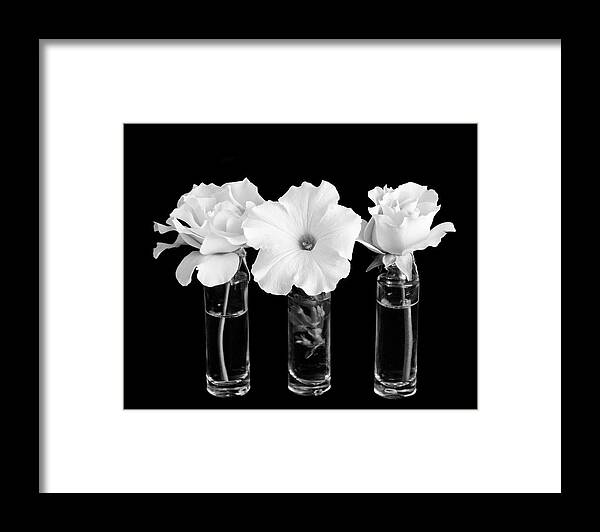 Flowers Framed Print featuring the photograph Three Flowers by Cathy Kovarik