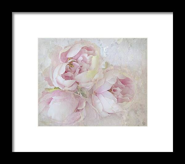 Flower Framed Print featuring the photograph Three Peonies by Karen Lynch