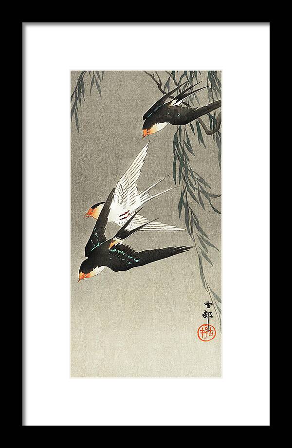 Birds Framed Print featuring the painting Three red-tailed swallows in dive by Ohara Koson