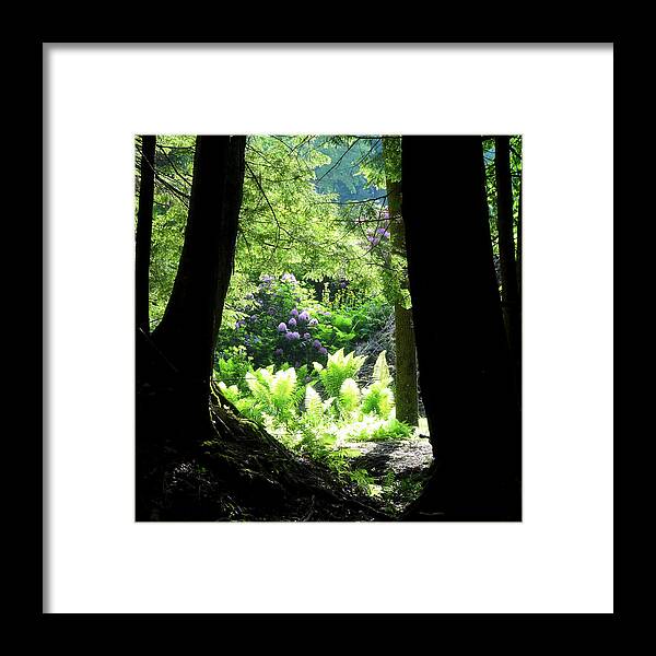 Shadow Framed Print featuring the photograph Through The Darkness by Catherine Arcolio