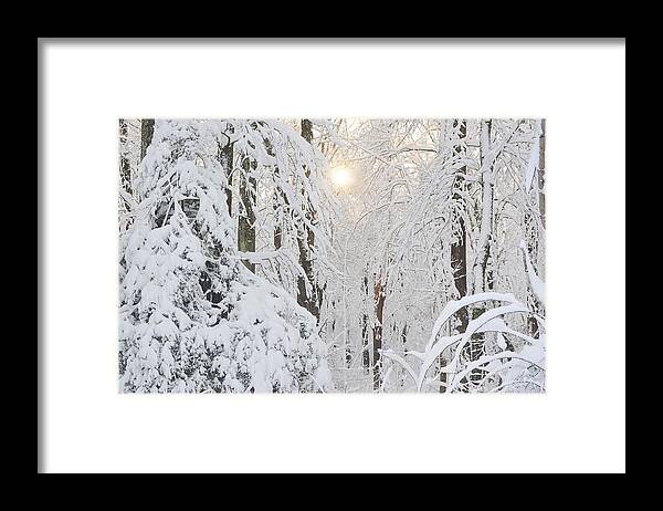 Snow Framed Print featuring the photograph Through the Trees by Addison Likins