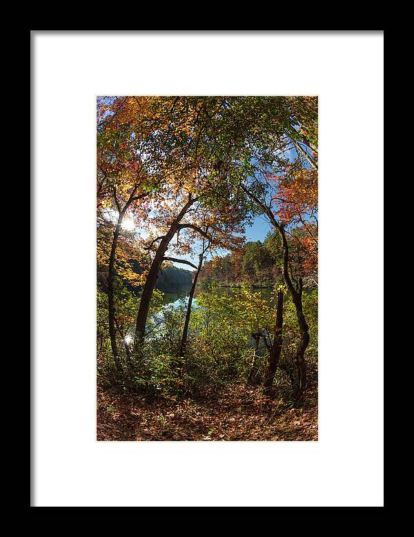 Carolina Framed Print featuring the photograph Through the Trees at the Lake by Debra and Dave Vanderlaan
