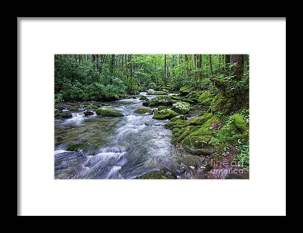 Smoky Mountains Framed Print featuring the photograph Thunderhead Prong 15 by Phil Perkins