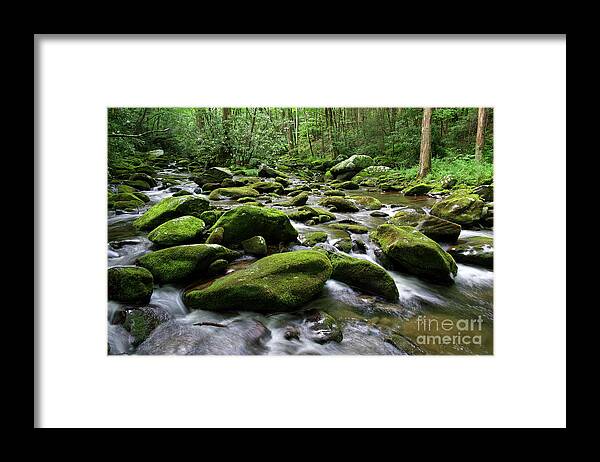 Smoky Mountains Framed Print featuring the photograph Thunderhead Prong 7 by Phil Perkins