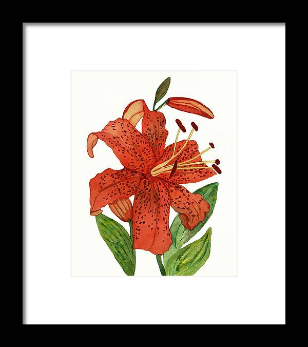 Tiger Lily Framed Print featuring the painting Tiger Lily by Deborah League
