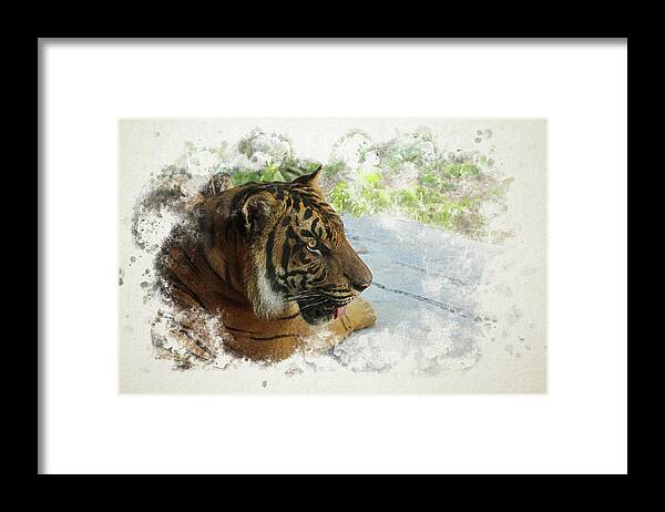 Tiger Framed Print featuring the digital art Tiger Portrait with Textures by Alison Frank