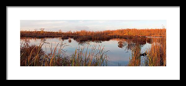 Preserve Framed Print featuring the photograph Tillman Preserve by Don Nieman