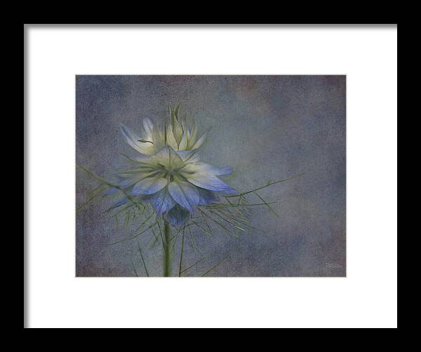 Flower Framed Print featuring the photograph Tiny Dancer by Pat Watson