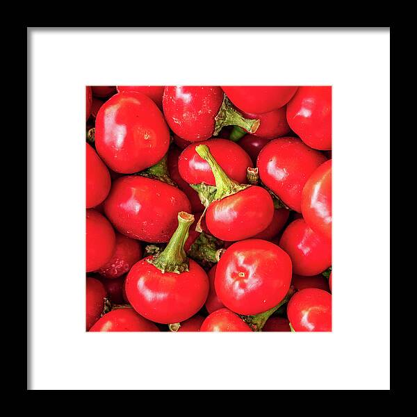  Framed Print featuring the photograph Tomato by Robert Miller