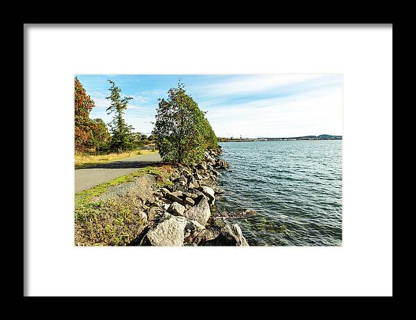 Tommy Thompson Trail And Fidalgo Bay Framed Print featuring the photograph Tommy Thompson Trail and Fidalgo Bay by Tom Cochran