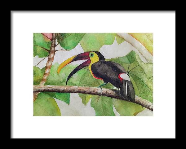 Toucan Framed Print featuring the painting Toucan by Carolina Prieto Moreno