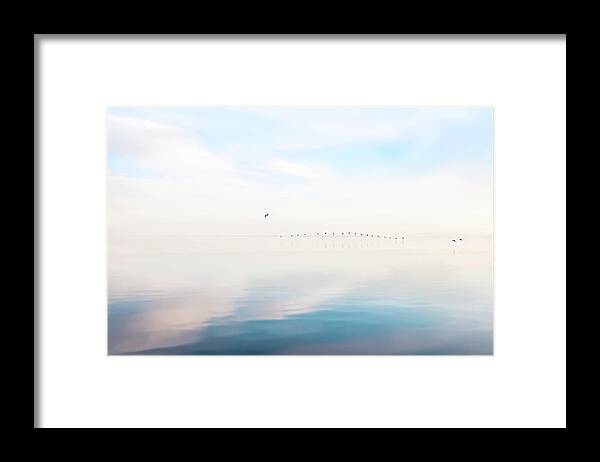 Bombay Beach Framed Print featuring the photograph Touch Down by Carmen Kern