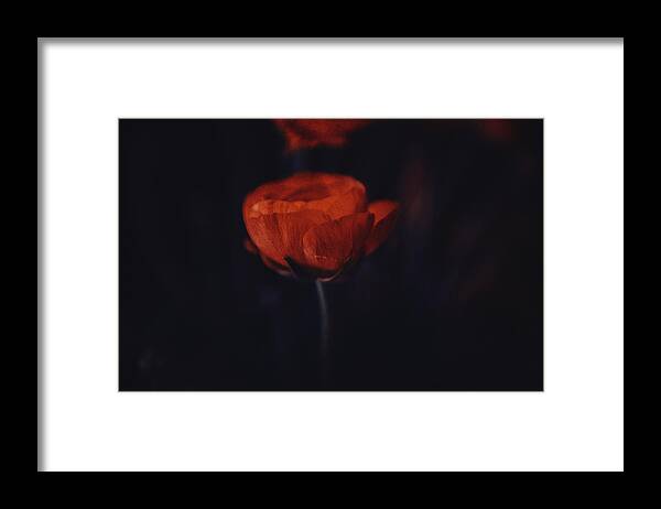 Flowers Framed Print featuring the photograph Touch of red by Yasmina Baggili