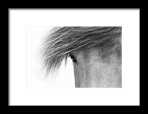 Horse Framed Print featuring the photograph Tova - Horse Art by Lisa Saint