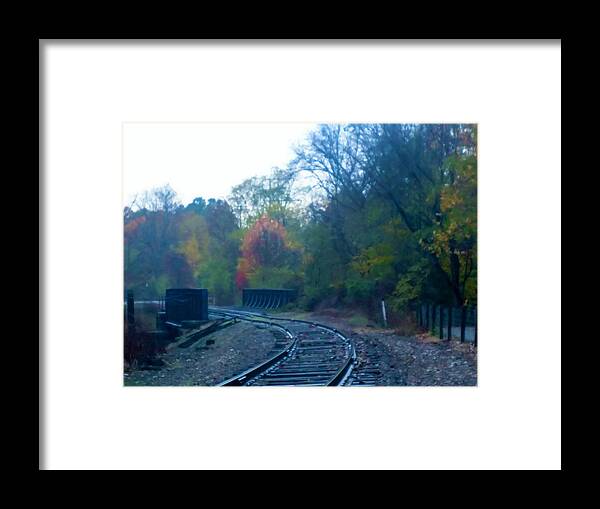  Framed Print featuring the photograph Towners Woods Tracks by Brad Nellis