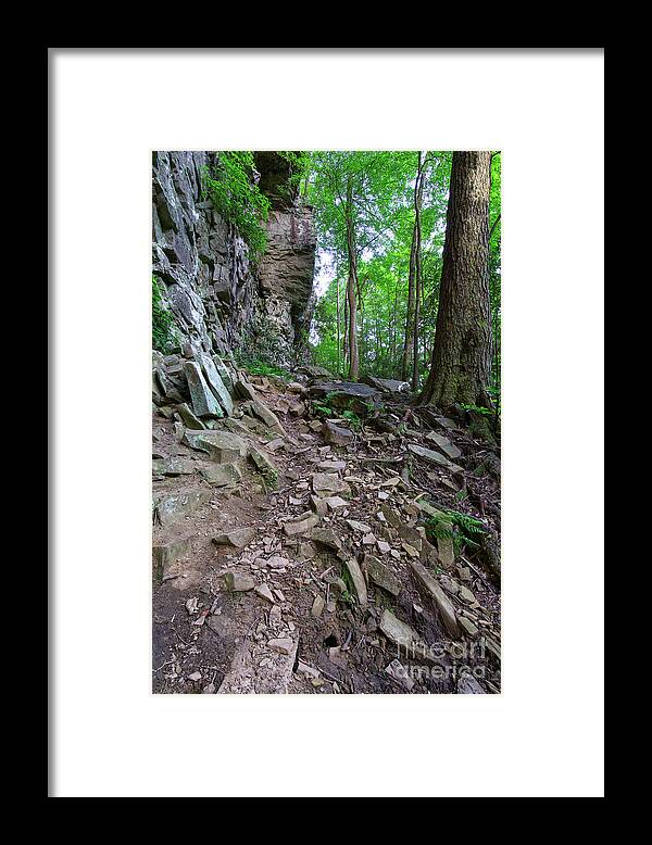 Ozone Falls Framed Print featuring the photograph Trail at Ozone Falls 3 by Phil Perkins