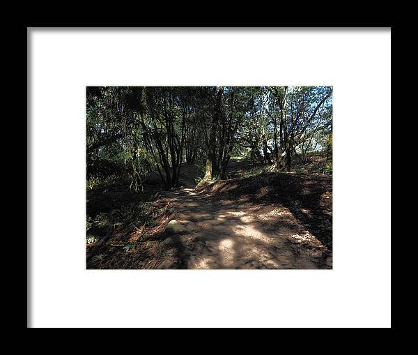 Park Trail Framed Print featuring the photograph Trail Going Up by Richard Thomas