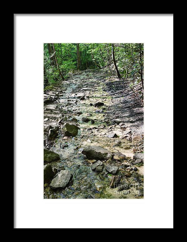 Trail Framed Print featuring the photograph Trail Is A Creek by Phil Perkins