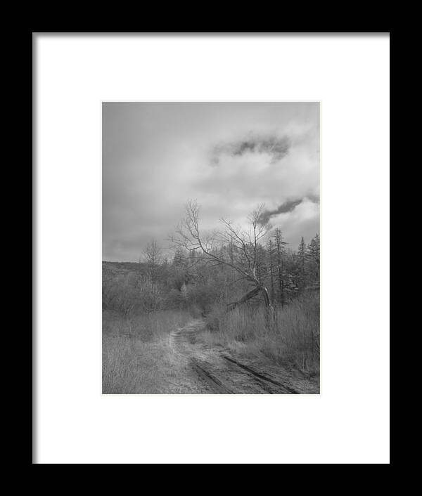 Infra Red Framed Print featuring the photograph Trailhead Tree by Alan Norsworthy
