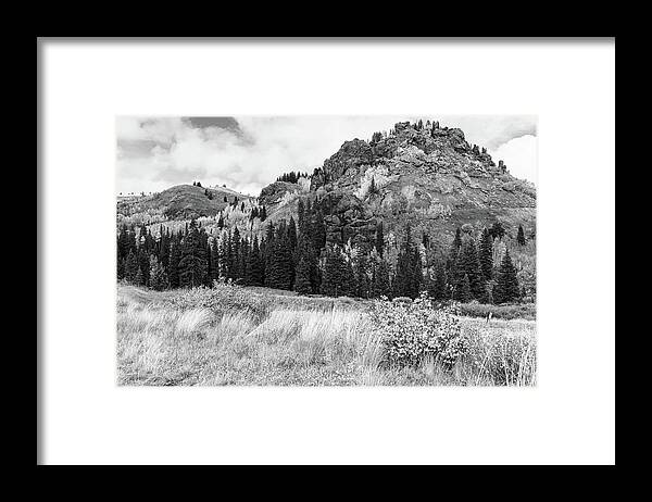 Foliage Framed Print featuring the photograph Train Switchback Black and White by Steve Templeton