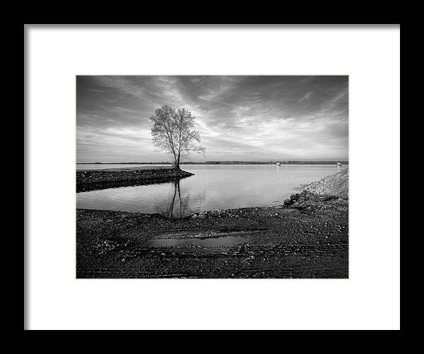 Tree Framed Print featuring the photograph Tree and Reflections by Steven Gordon