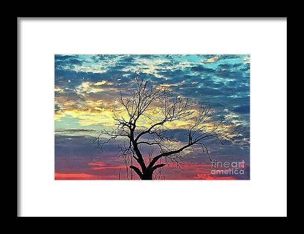 Tree Framed Print featuring the photograph Tree and Sunset by Yumi Johnson