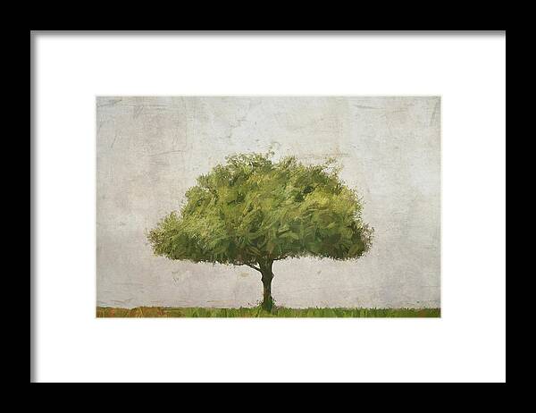 Tree Framed Print featuring the photograph Tree at Mount Soledad IMP by Alison Frank