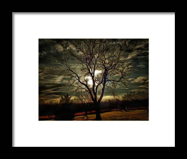 Tree Framed Print featuring the photograph Tree at Sunset by Christopher Reed