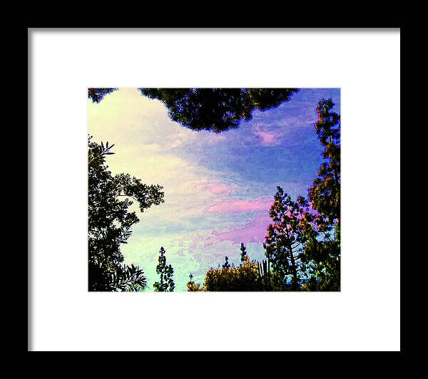 Trees Framed Print featuring the photograph Tree Framed Sky by Andrew Lawrence