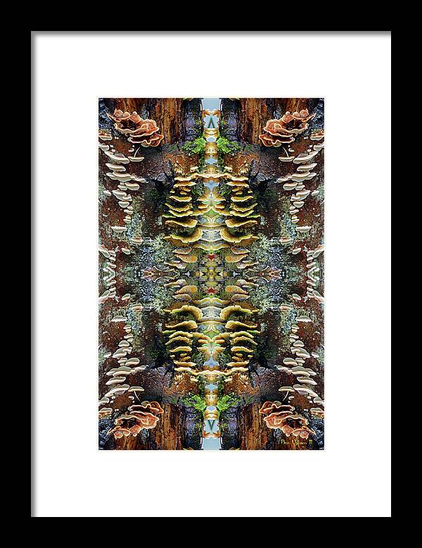 Nature Framed Print featuring the photograph Tree Full of Life Double Mirrored Vertical 4x6 by Ben Upham III